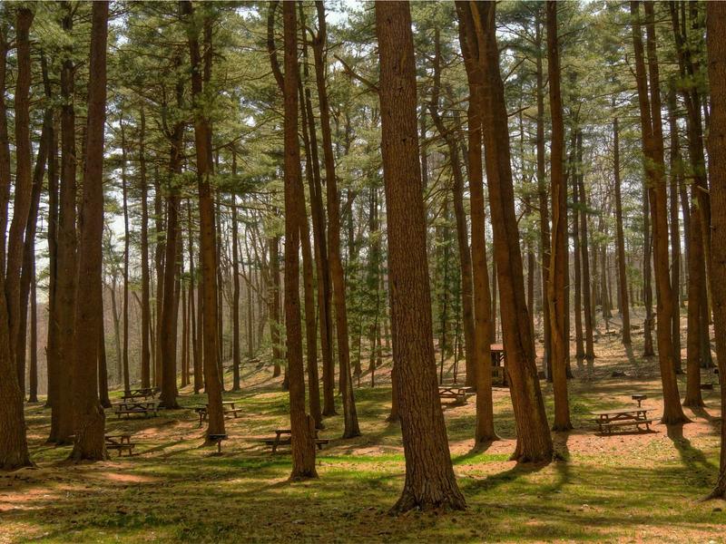 sudoku asymmetric puzzle screenshot 1