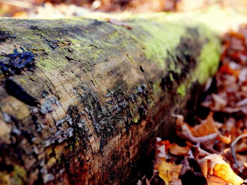 sudoku asymmetric puzzle screenshot 2