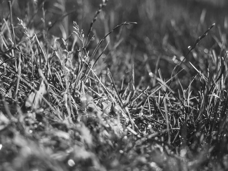 sudoku pattern recognition